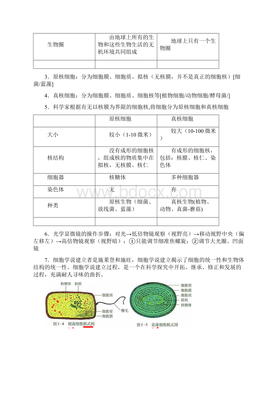 专题 1 细胞的分子组成生物新课标总复习最新版包括高考真题.docx_第2页