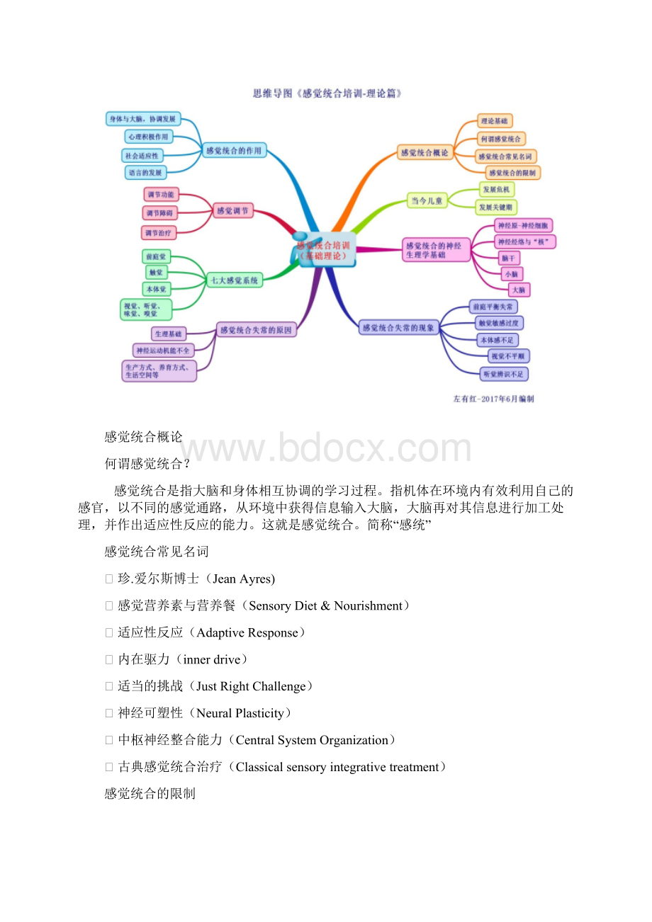 感觉统合高级教师培训讲义第四届.docx_第2页