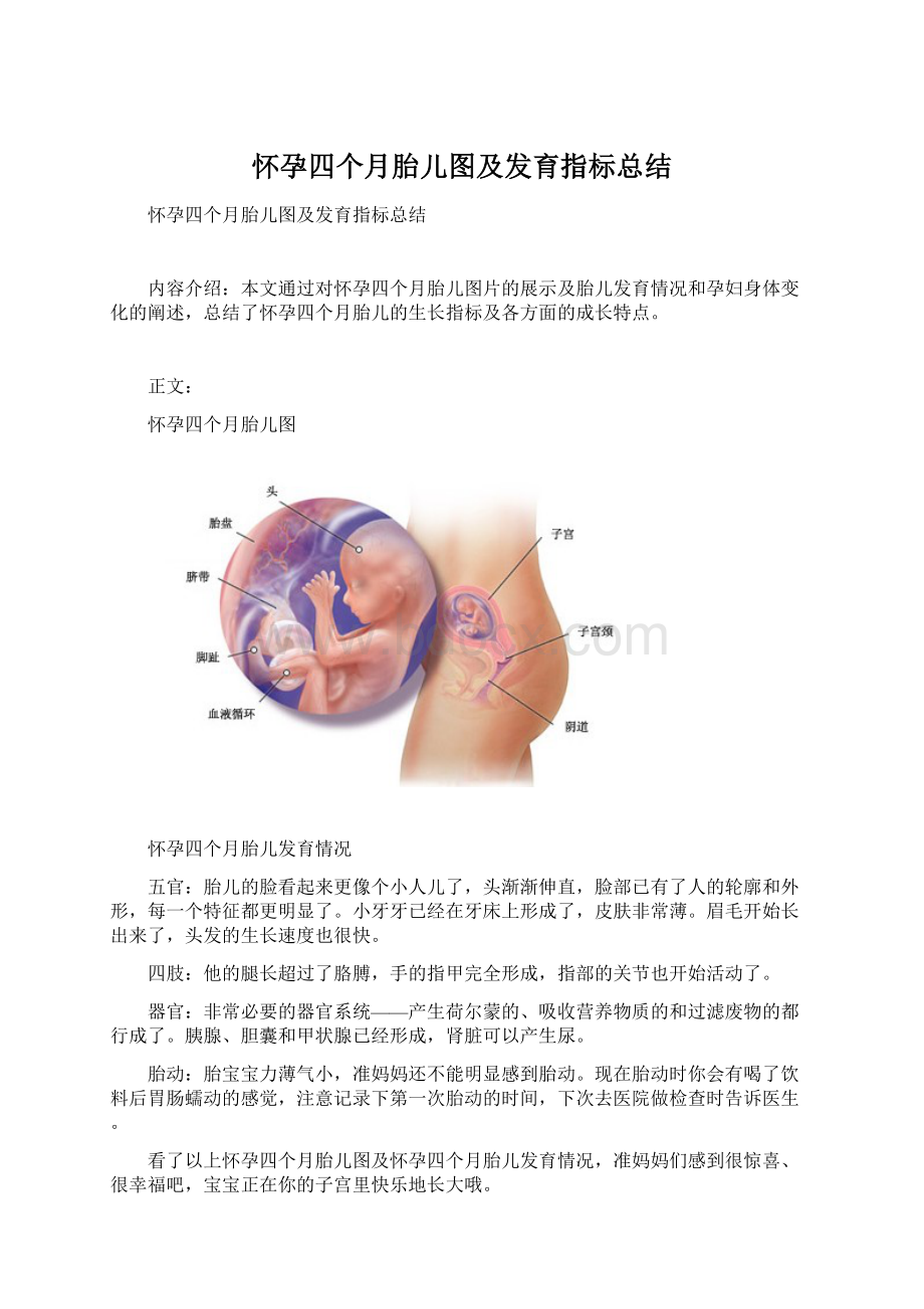 怀孕四个月胎儿图及发育指标总结.docx_第1页
