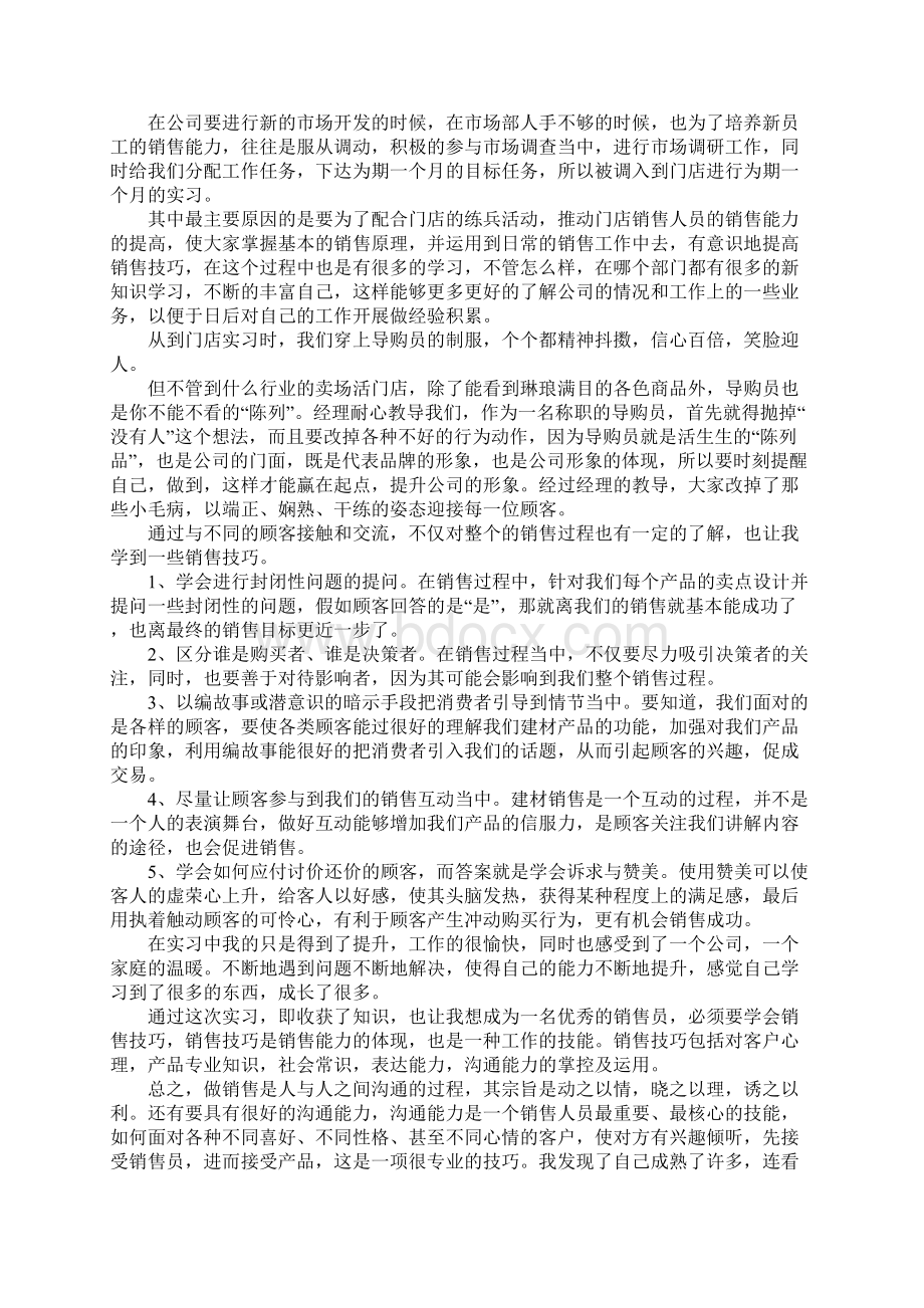 销售顶岗实习报告3000字范文推荐.docx_第2页