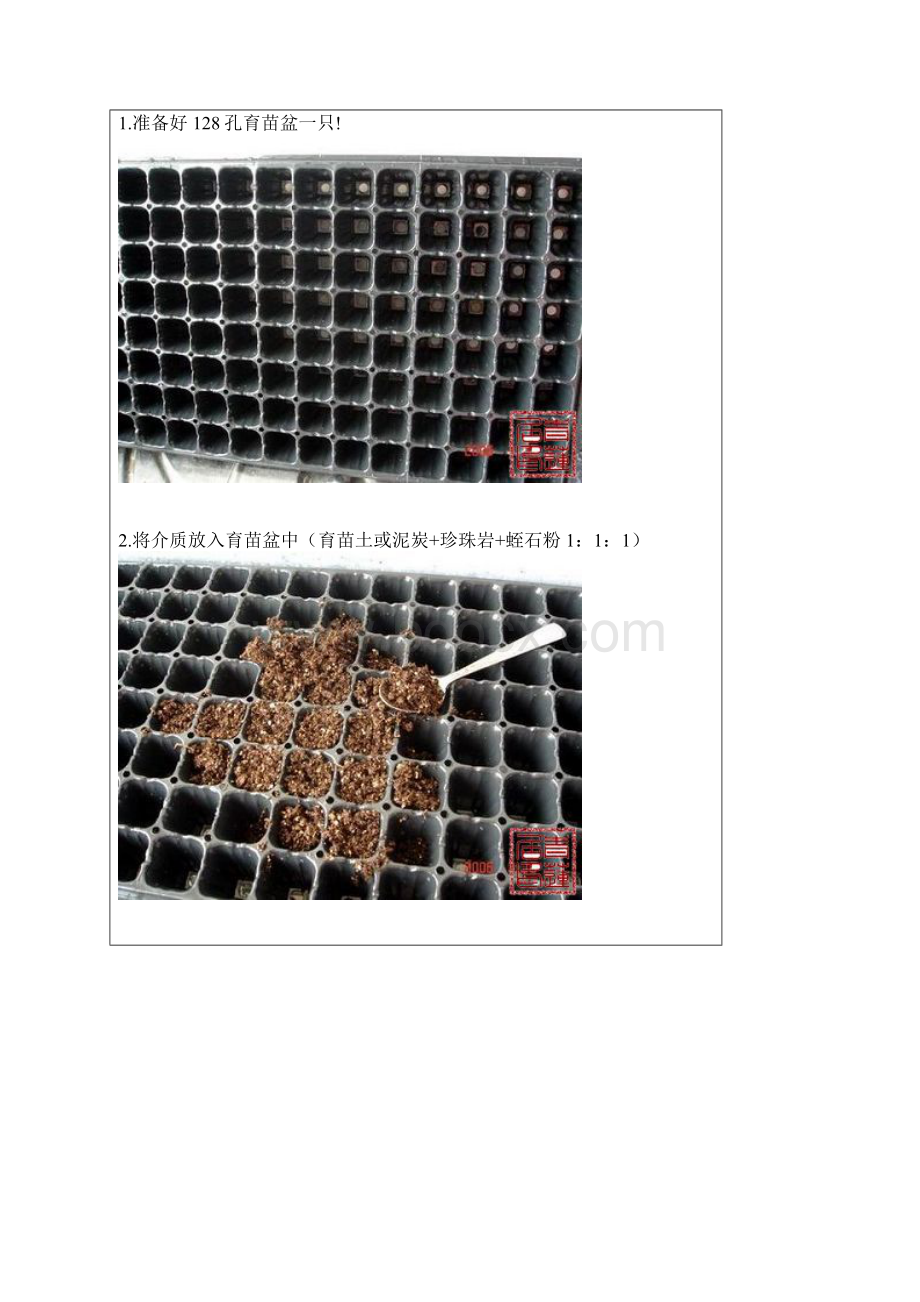 播种过程图解Word文档格式.docx_第2页