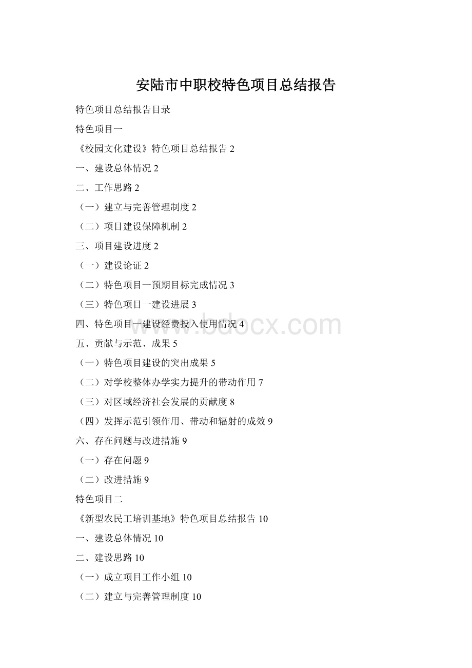 安陆市中职校特色项目总结报告.docx_第1页