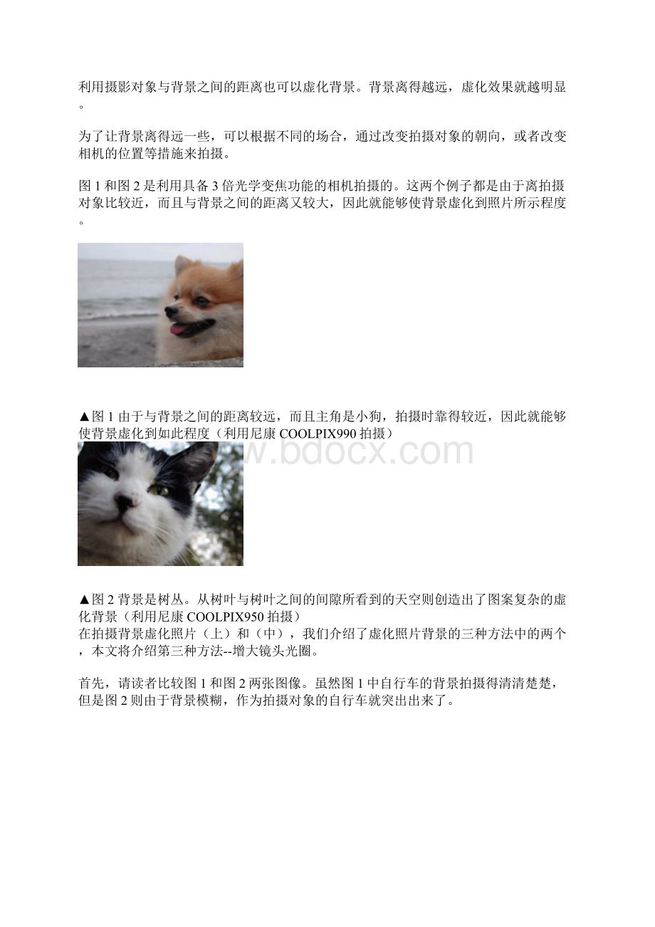 北京虚化摄影Word文件下载.docx_第3页