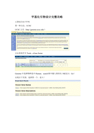 甲基化引物设计完整攻略Word格式文档下载.docx