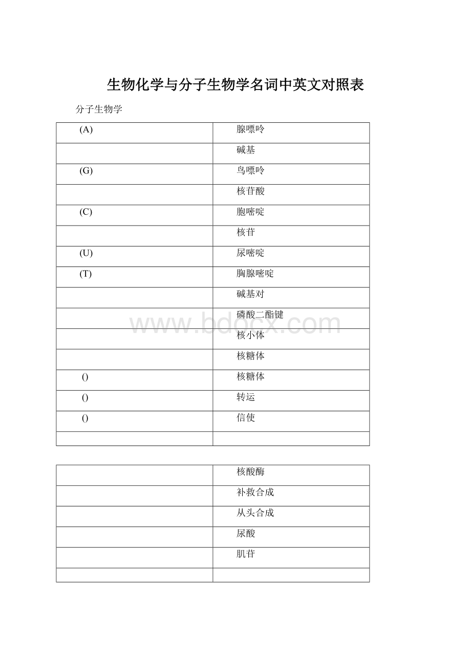 生物化学与分子生物学名词中英文对照表.docx