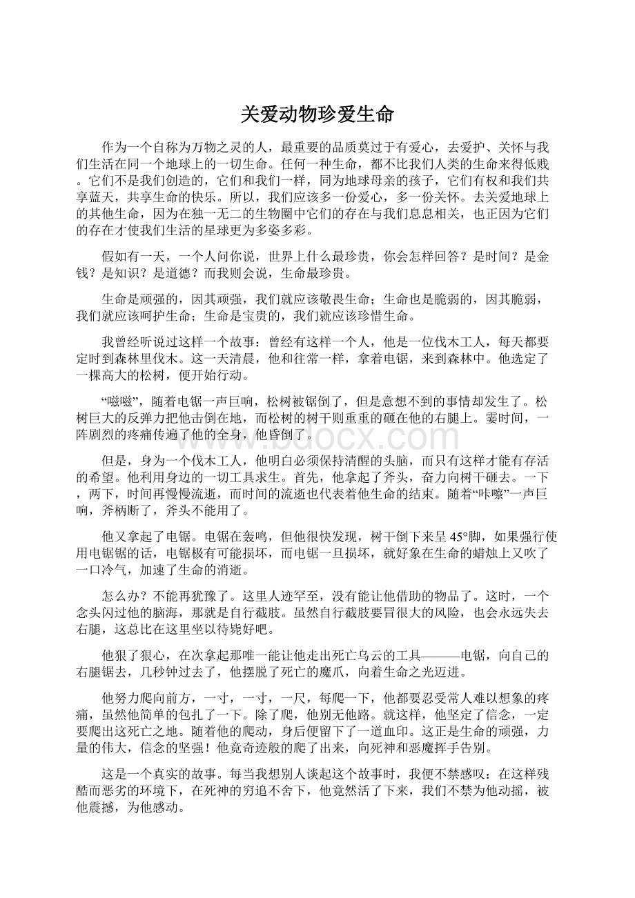 关爱动物珍爱生命.docx