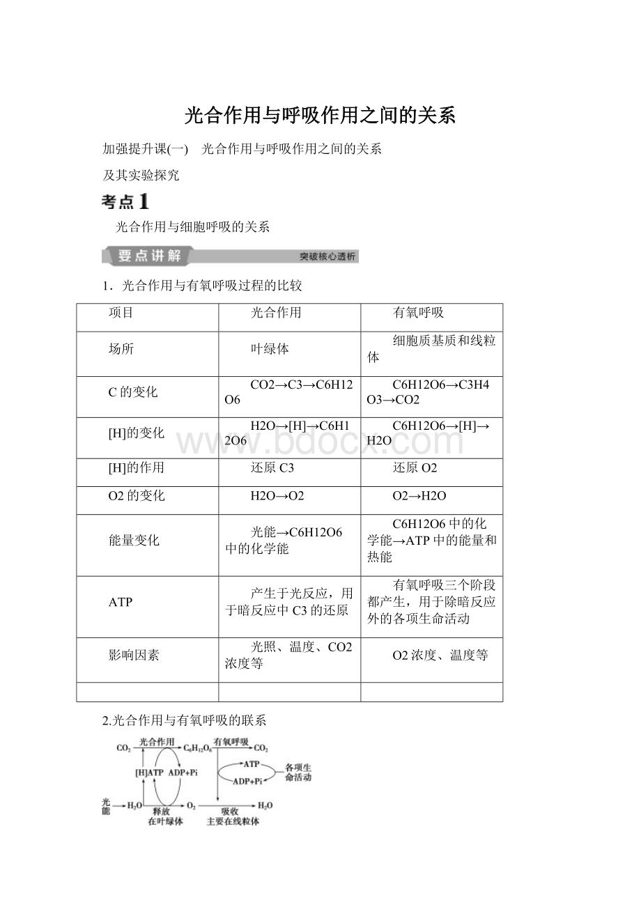 光合作用与呼吸作用之间的关系Word文件下载.docx