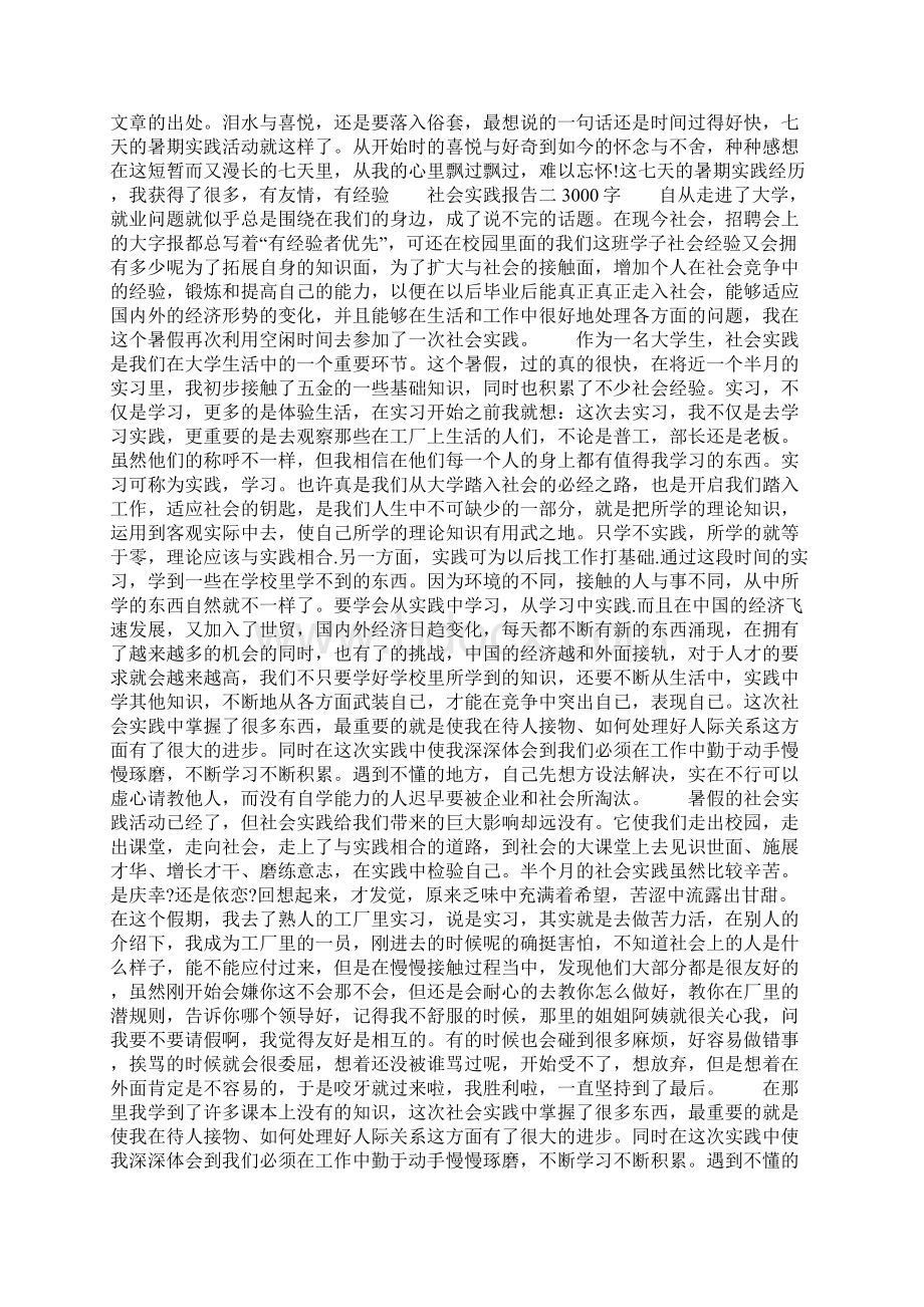 社会实践报告3000字三篇Word格式文档下载.docx_第3页