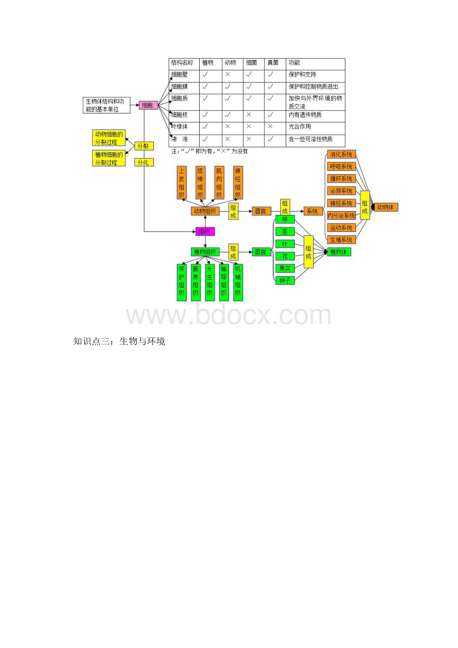 初中生物知识点梳理思维导图Word文档格式.docx_第2页