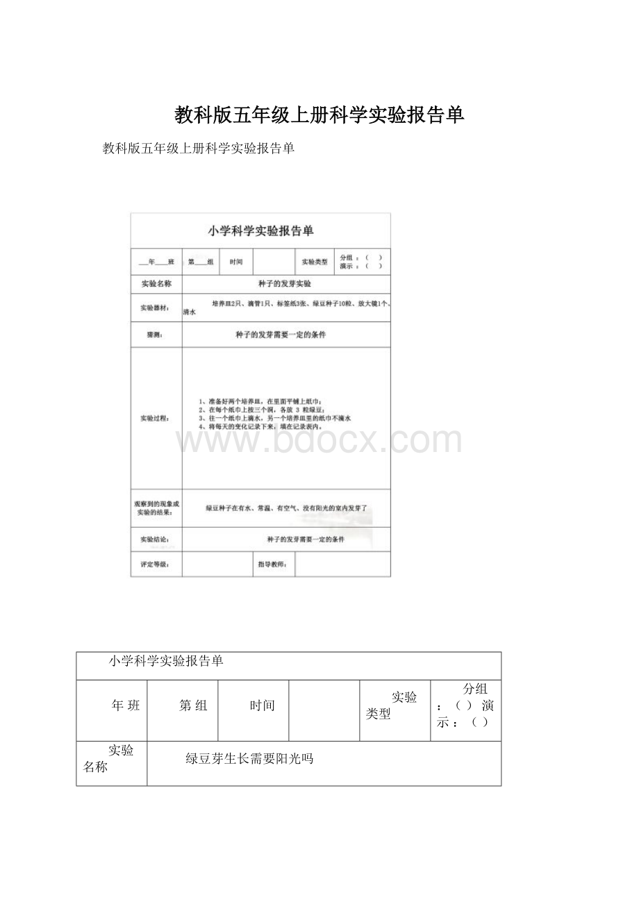 教科版五年级上册科学实验报告单.docx_第1页