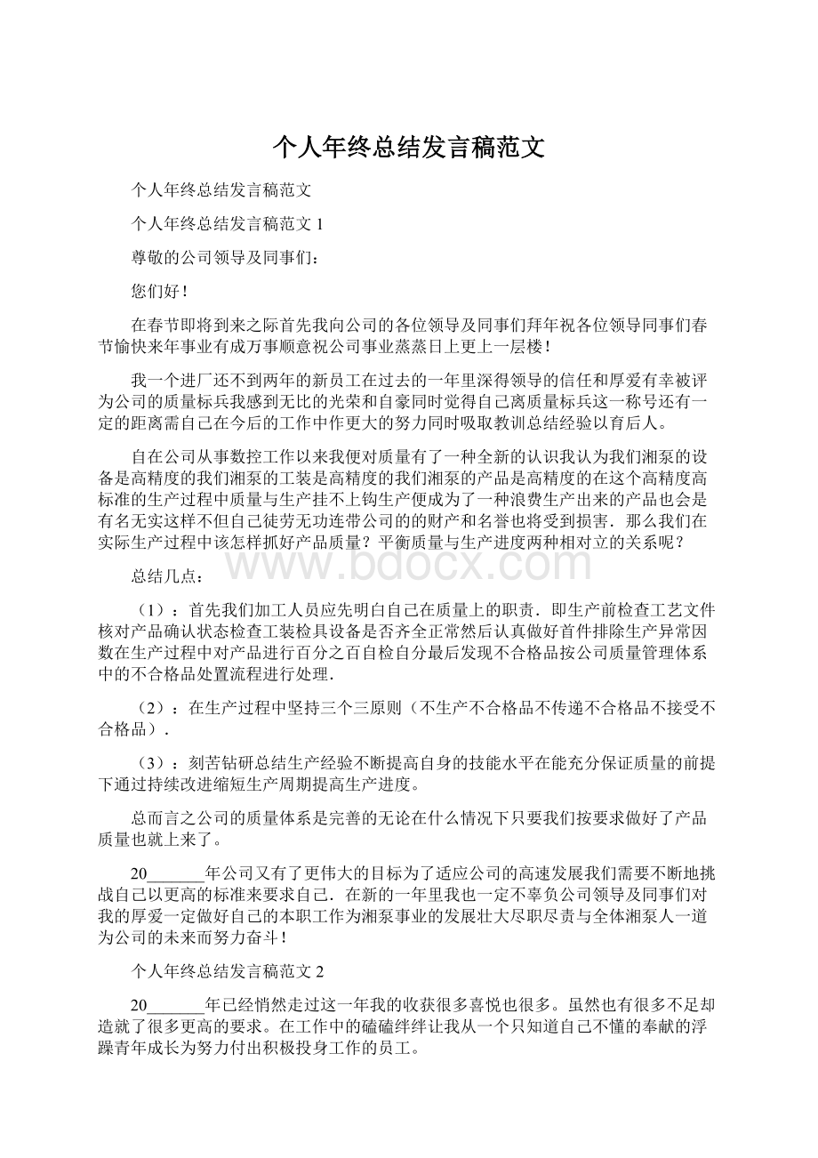 个人年终总结发言稿范文.docx_第1页