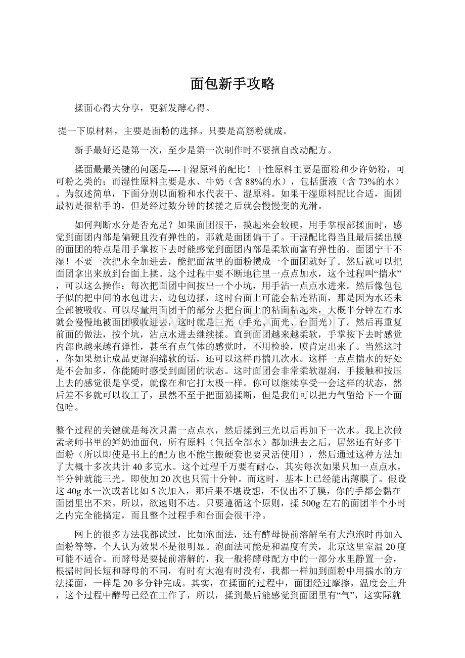 面包新手攻略文档格式.docx