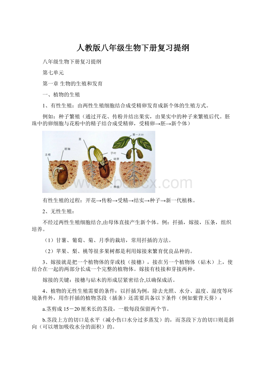 人教版八年级生物下册复习提纲.docx_第1页