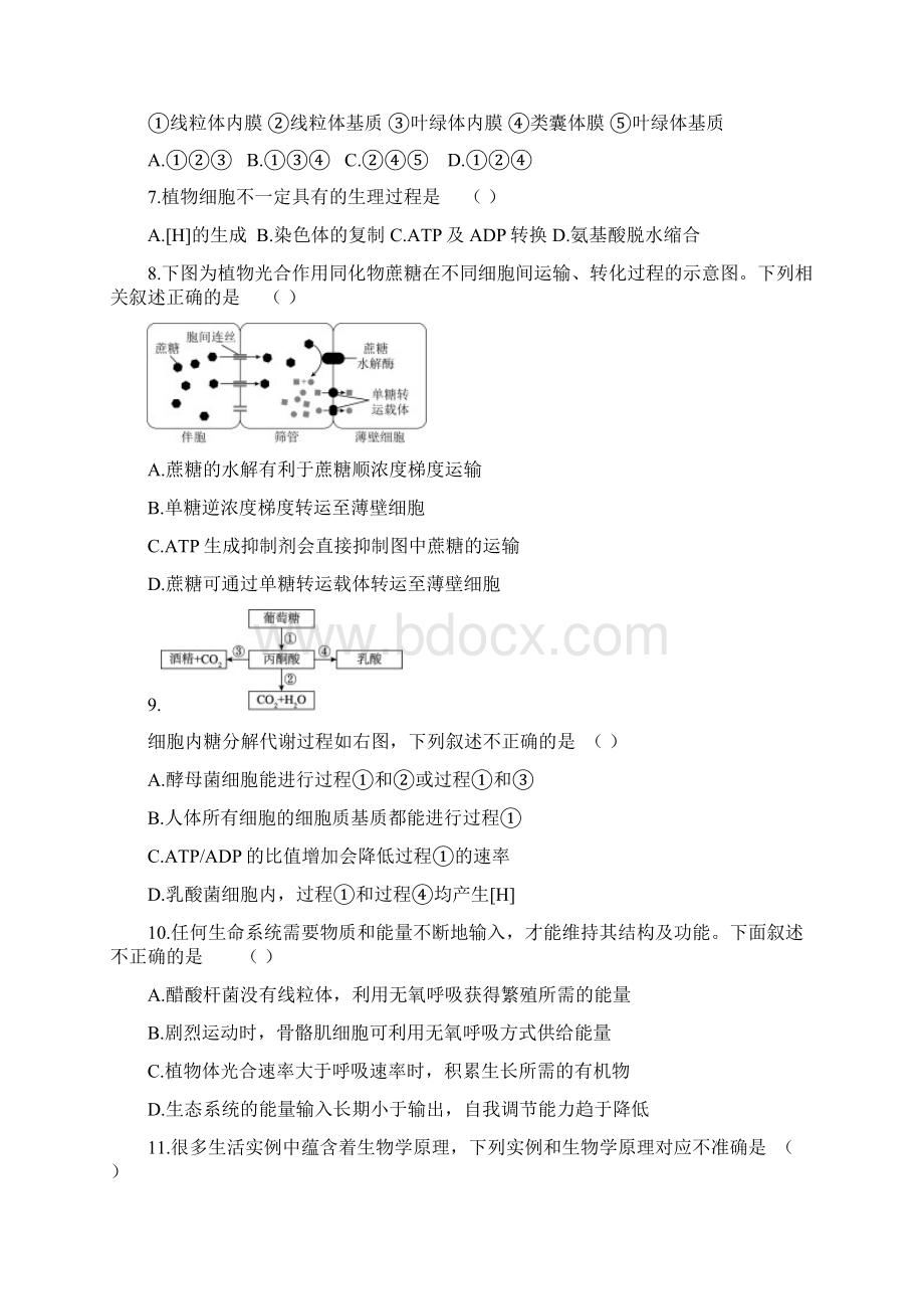 海淀高三年级第一学期期中练习生物试题119.docx_第2页