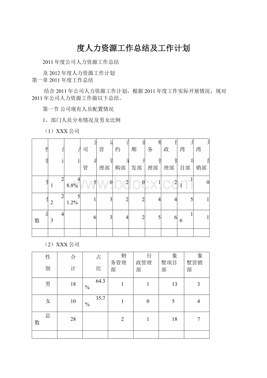 度人力资源工作总结及工作计划文档格式.docx