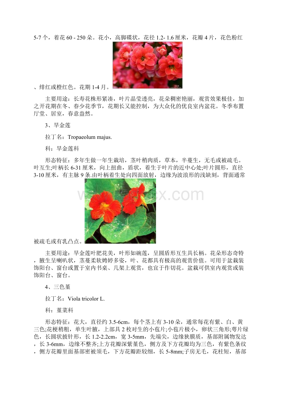 常见温室花卉50种Word文档格式.docx_第2页