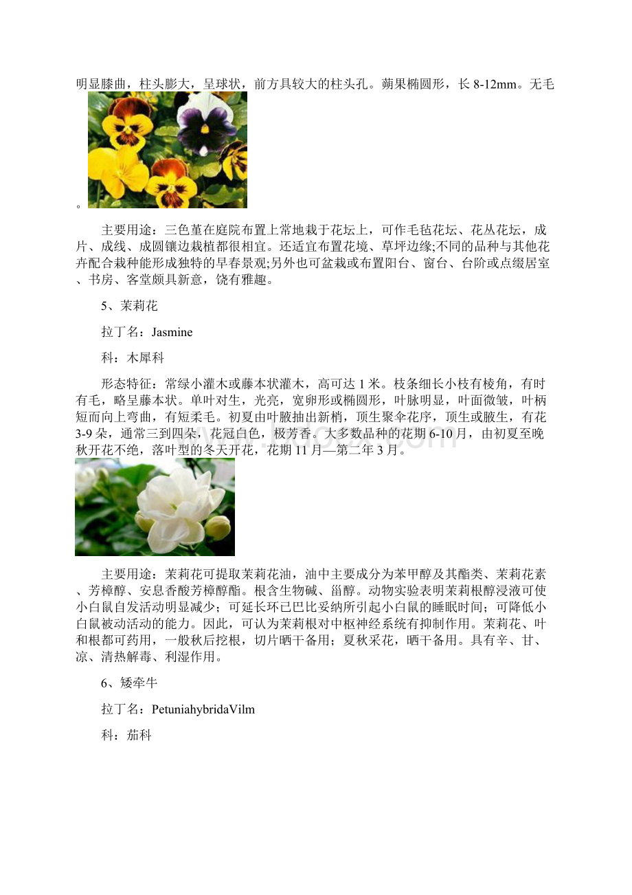 常见温室花卉50种Word文档格式.docx_第3页