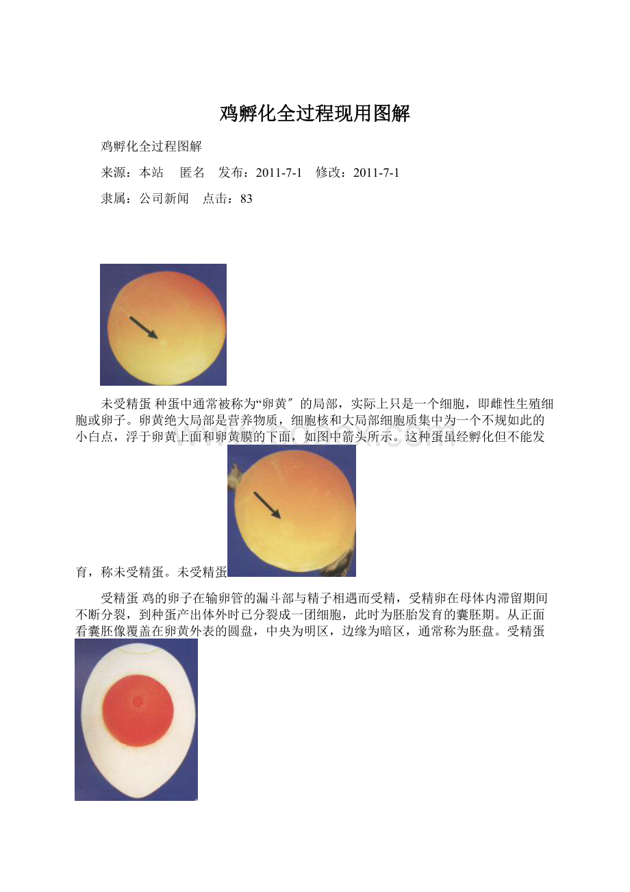 鸡孵化全过程现用图解.docx_第1页