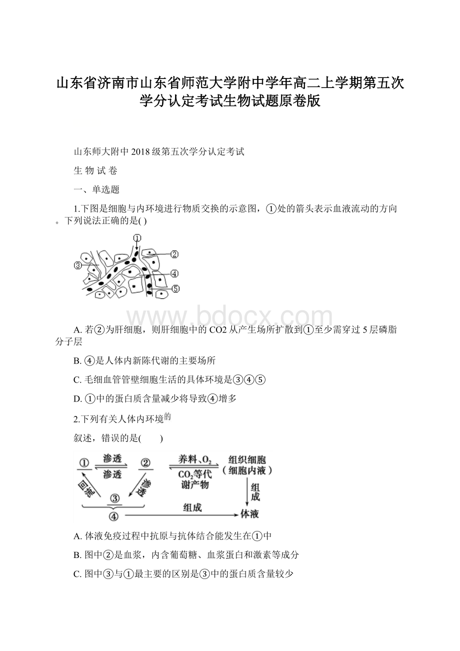 山东省济南市山东省师范大学附中学年高二上学期第五次学分认定考试生物试题原卷版Word文档下载推荐.docx