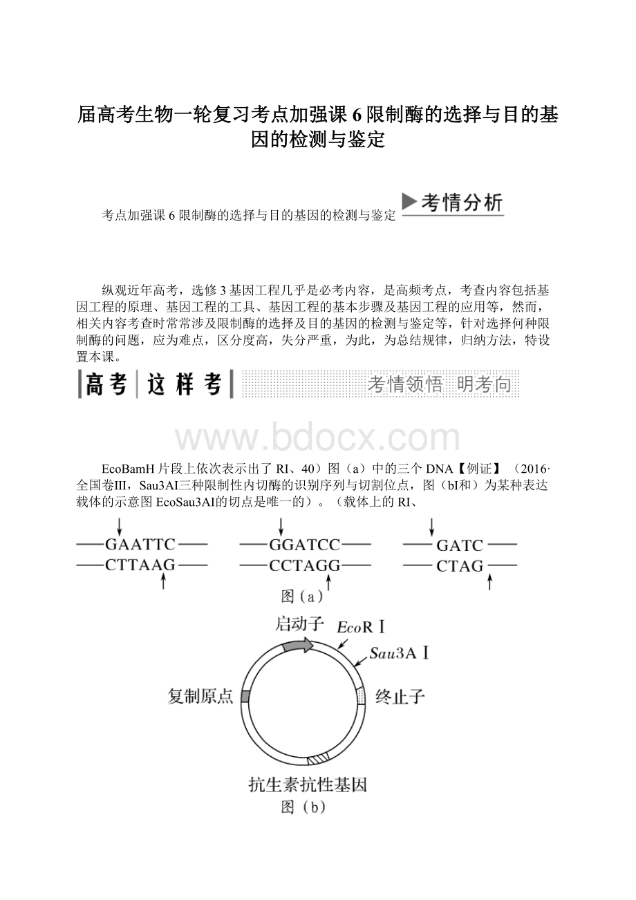 届高考生物一轮复习考点加强课6限制酶的选择与目的基因的检测与鉴定.docx_第1页