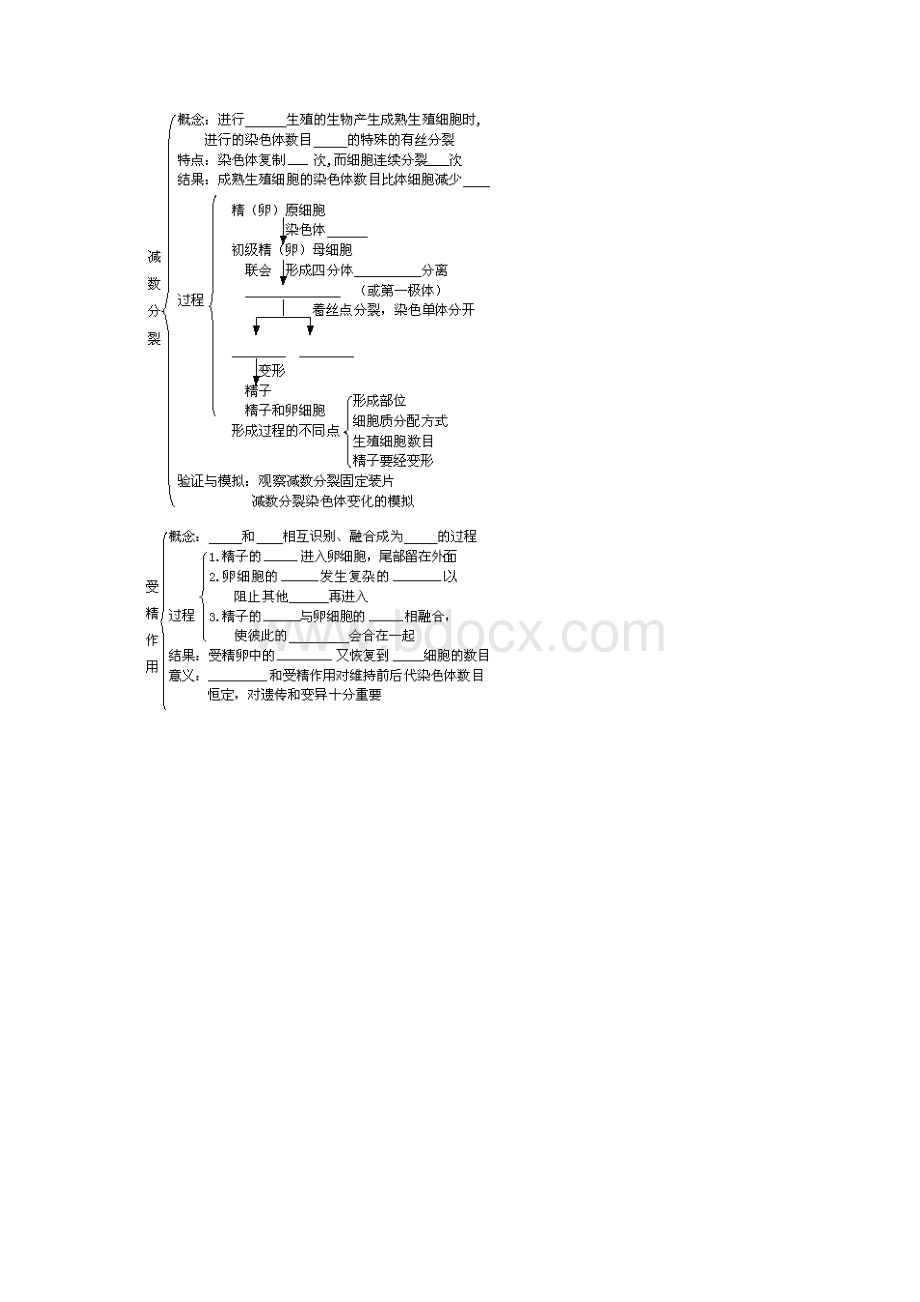 基因和染色体的关系.docx_第2页