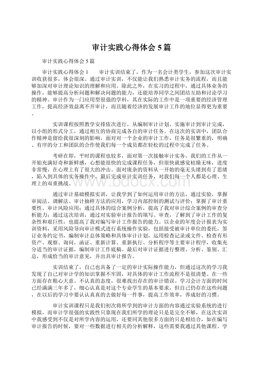 审计实践心得体会5篇Word下载.docx