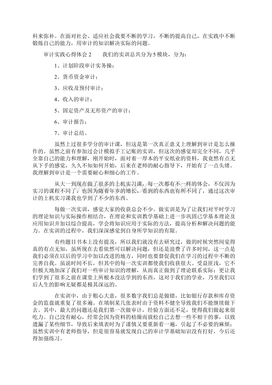 审计实践心得体会5篇Word下载.docx_第2页