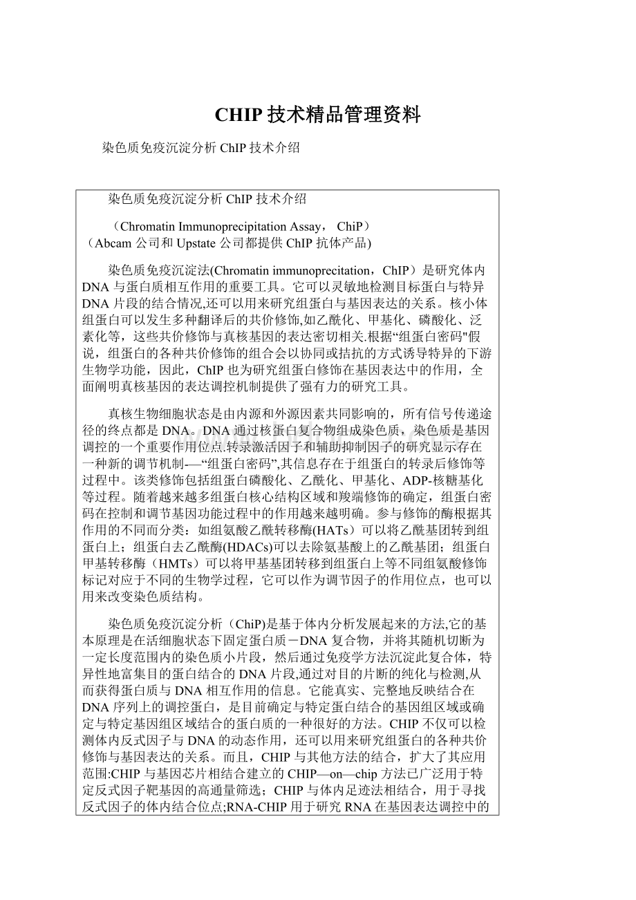 CHIP技术精品管理资料.docx_第1页