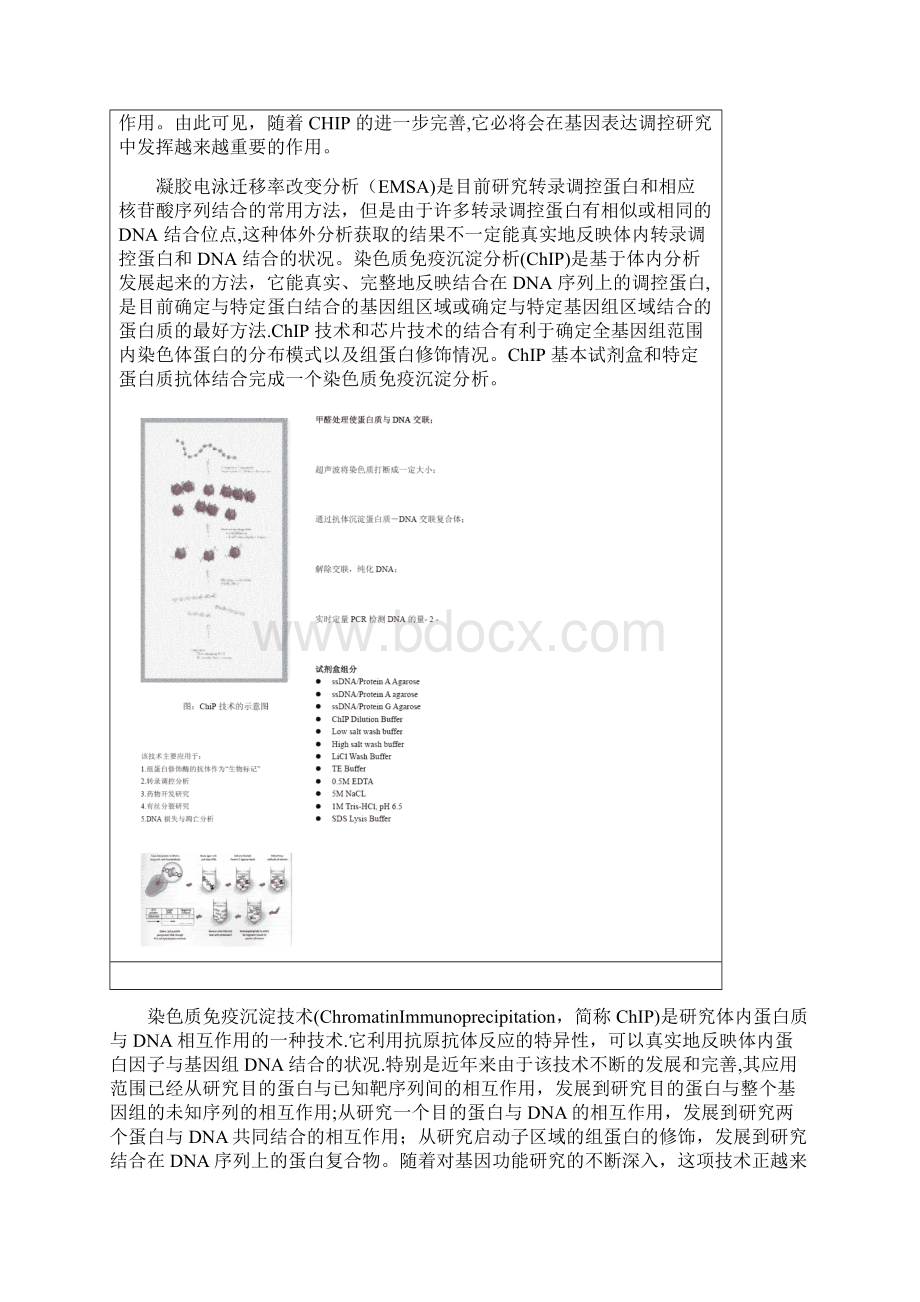 CHIP技术精品管理资料.docx_第2页