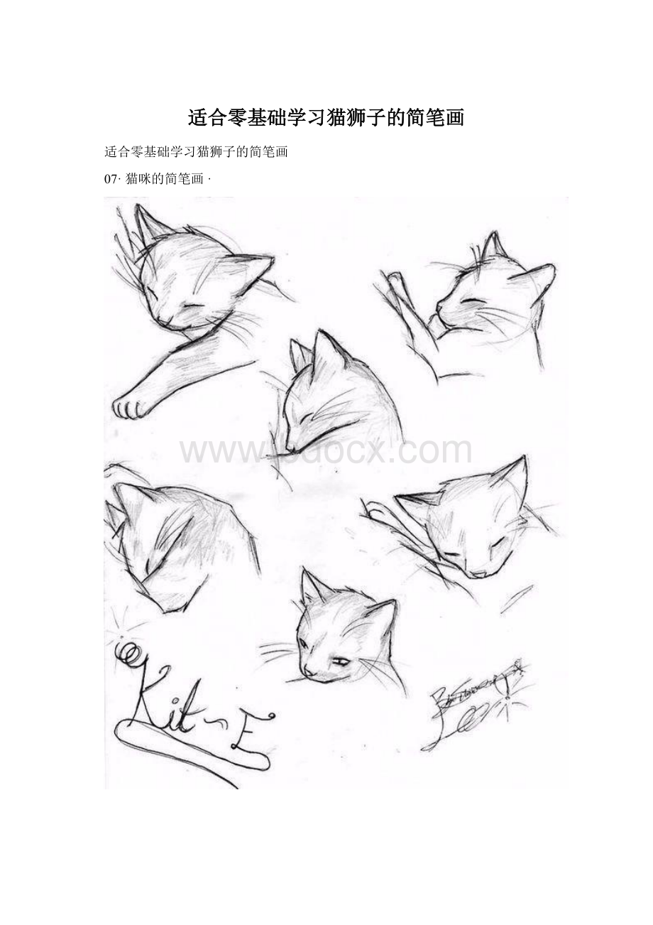 适合零基础学习猫狮子的简笔画.docx_第1页