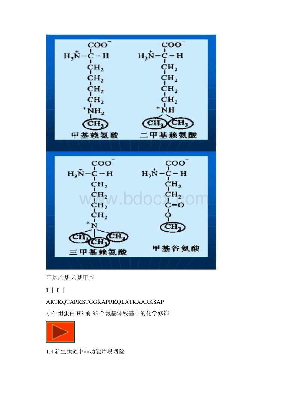 蛋白质的加工.docx_第3页