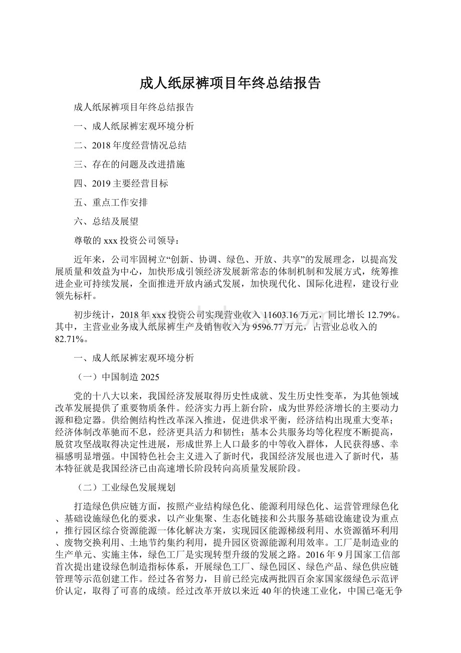 成人纸尿裤项目年终总结报告.docx_第1页