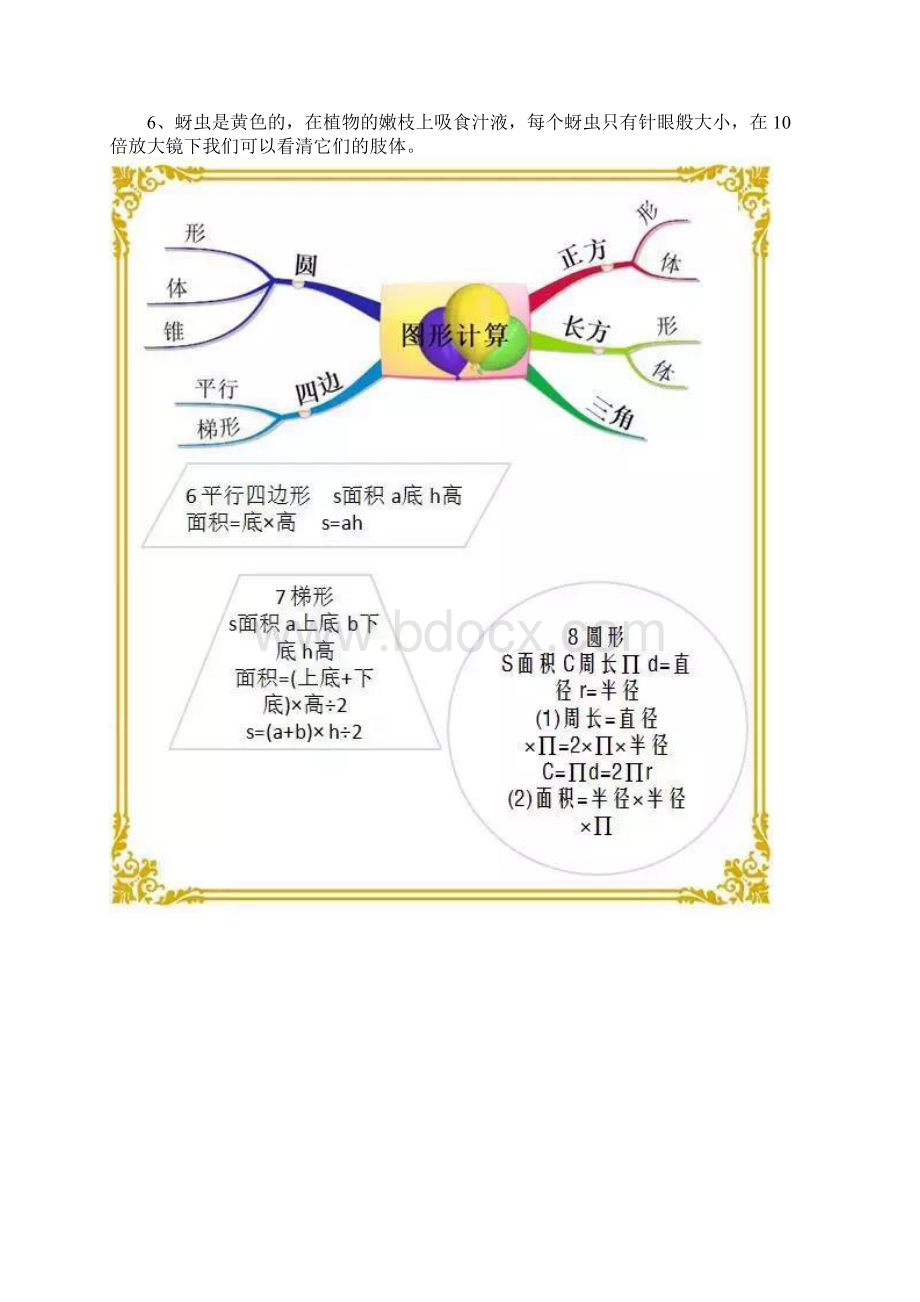 16年级数学知识重点思维导图.docx_第2页