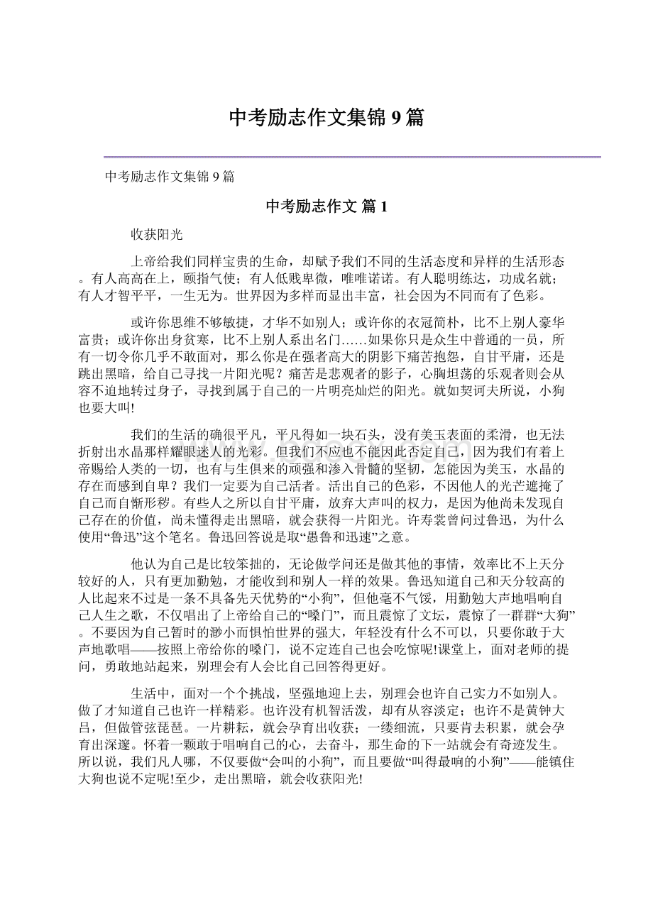 中考励志作文集锦9篇.docx