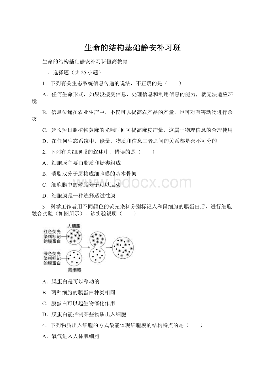 生命的结构基础静安补习班Word文档下载推荐.docx_第1页