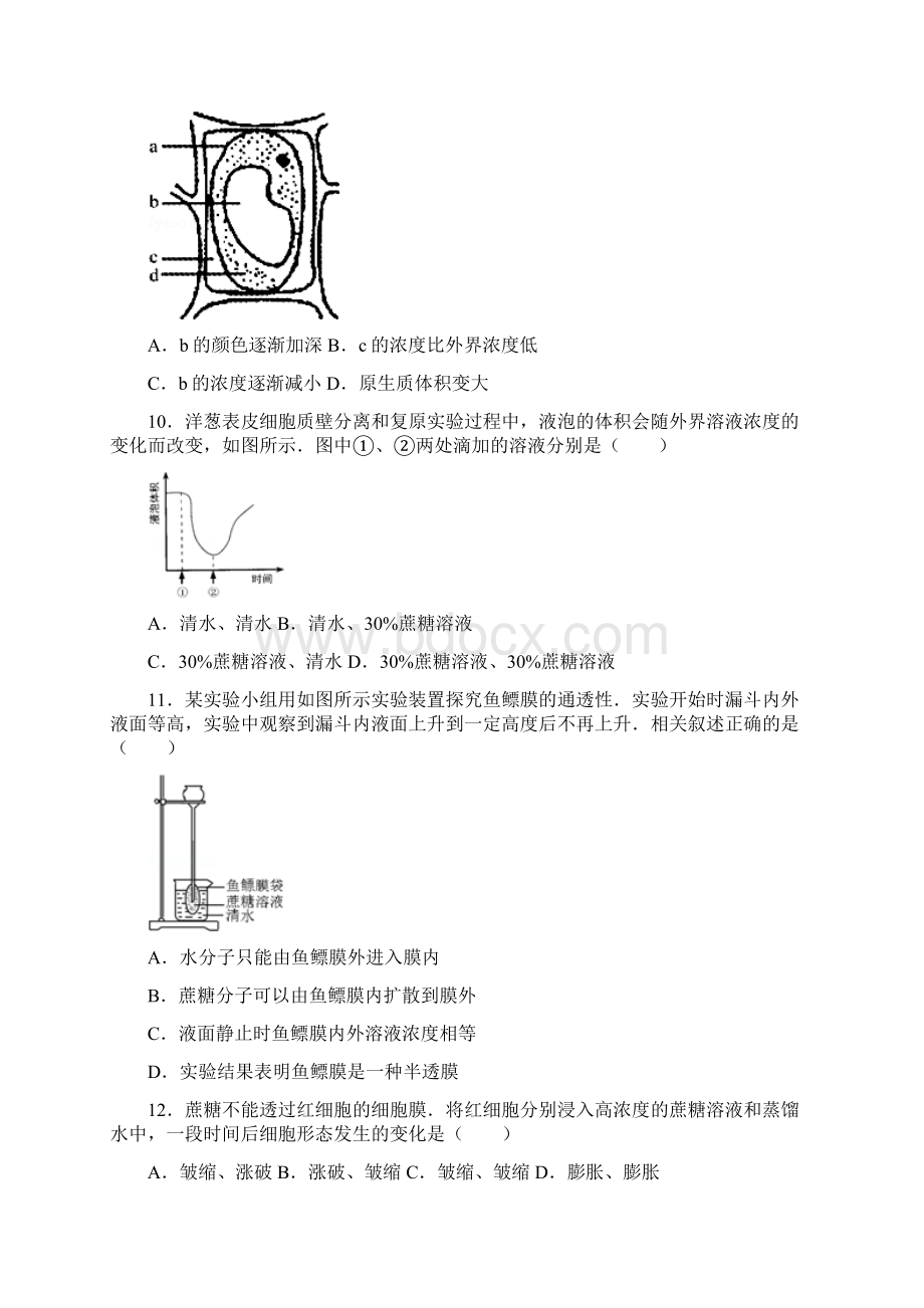 生命的结构基础静安补习班Word文档下载推荐.docx_第3页