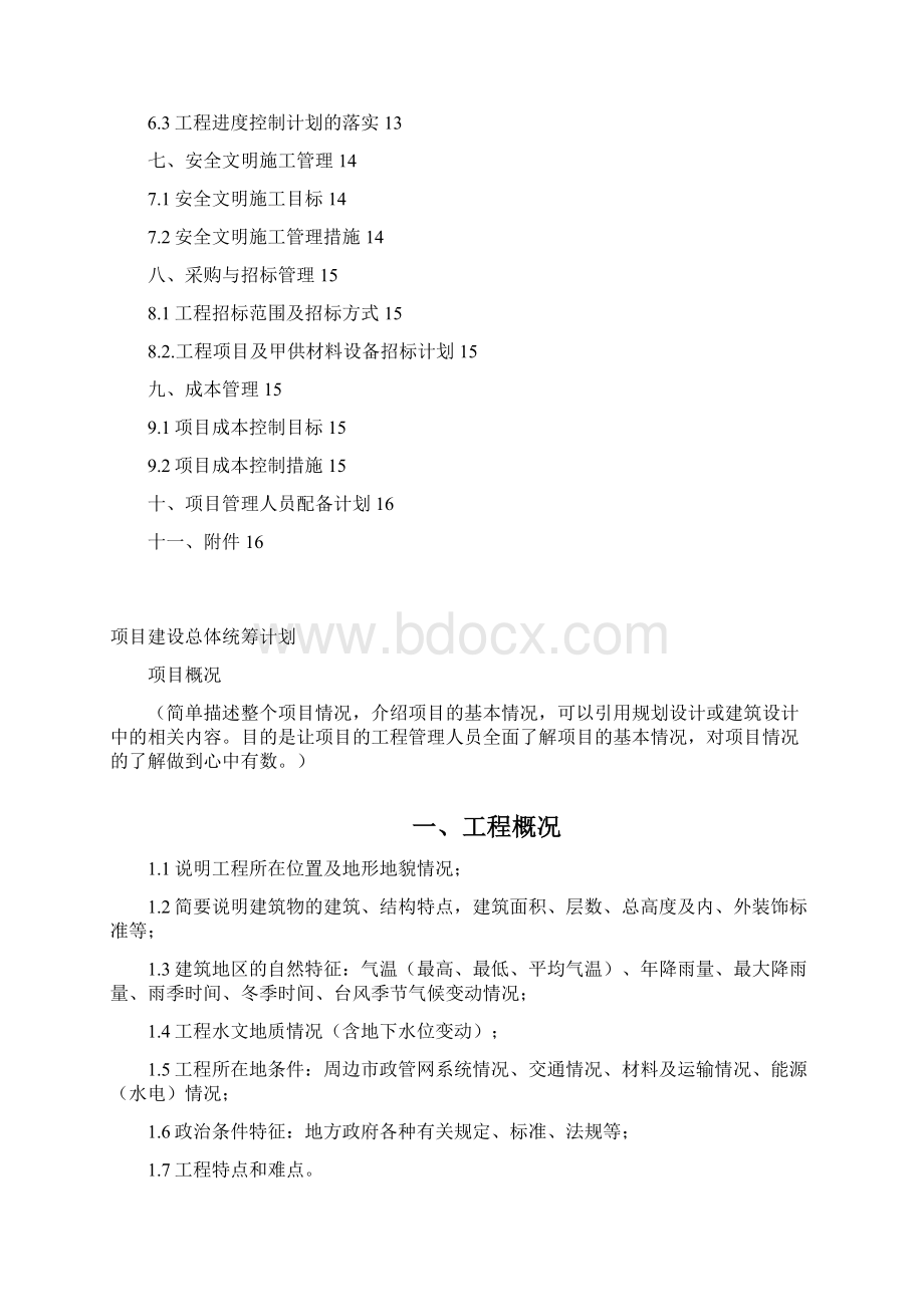 项目建设总体统筹计划清单.docx_第2页