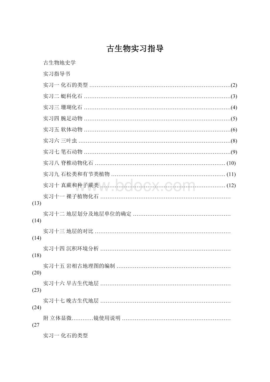 古生物实习指导Word文件下载.docx_第1页