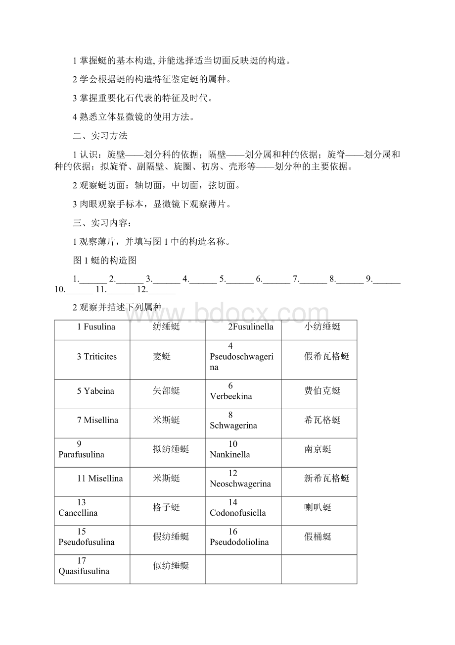 古生物实习指导Word文件下载.docx_第3页