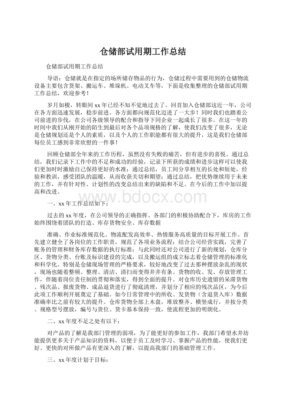 仓储部试用期工作总结文档格式.docx