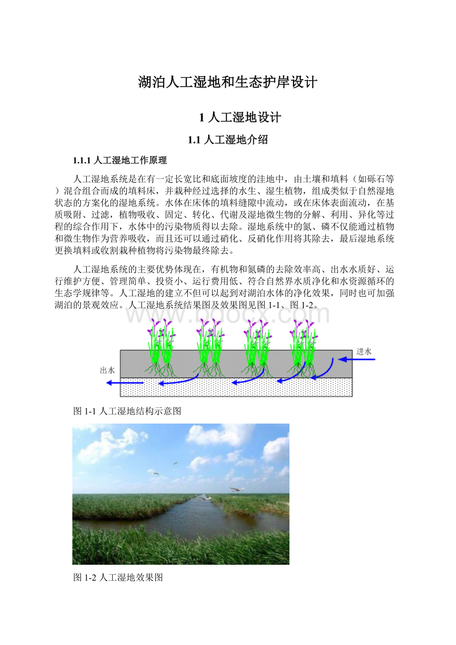 湖泊人工湿地和生态护岸设计Word下载.docx