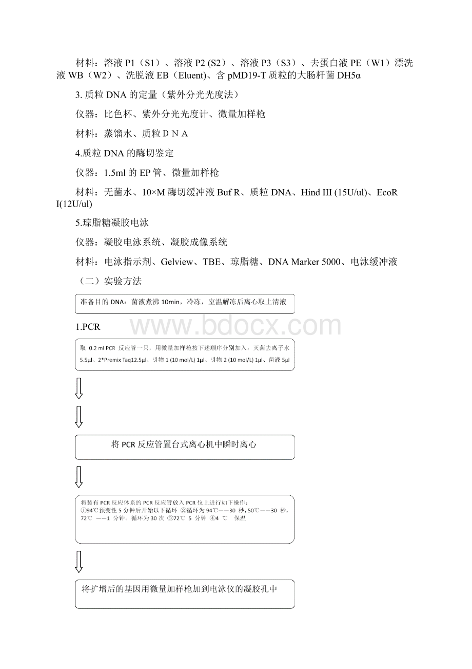 质粒DNA的提取定量酶切与PCR鉴定实验报告Word文档格式.docx_第3页