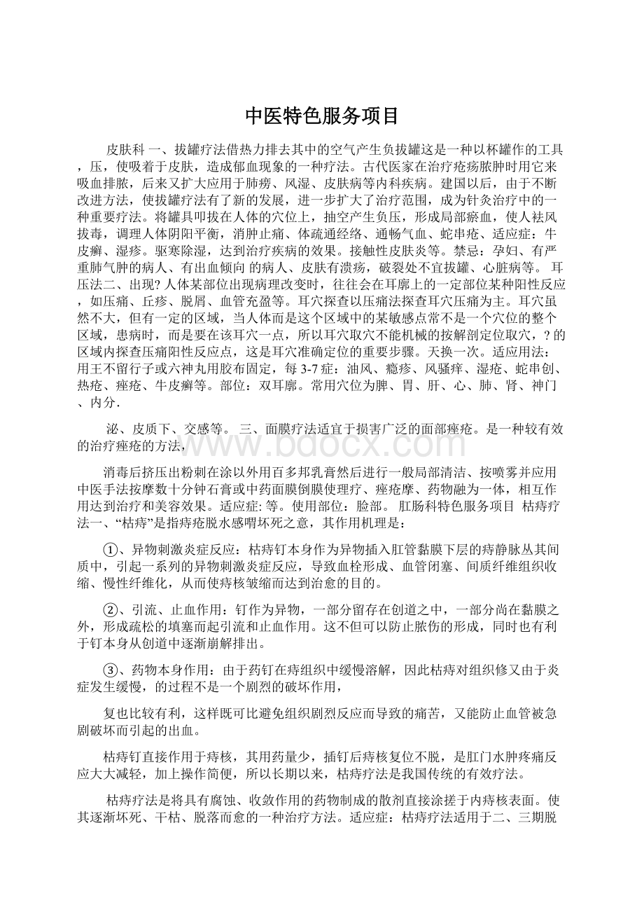 中医特色服务项目文档格式.docx