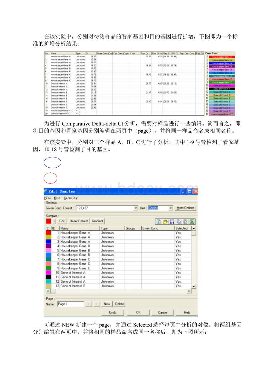 相对荧光定量PCR的常用方法和注意事项.docx_第3页