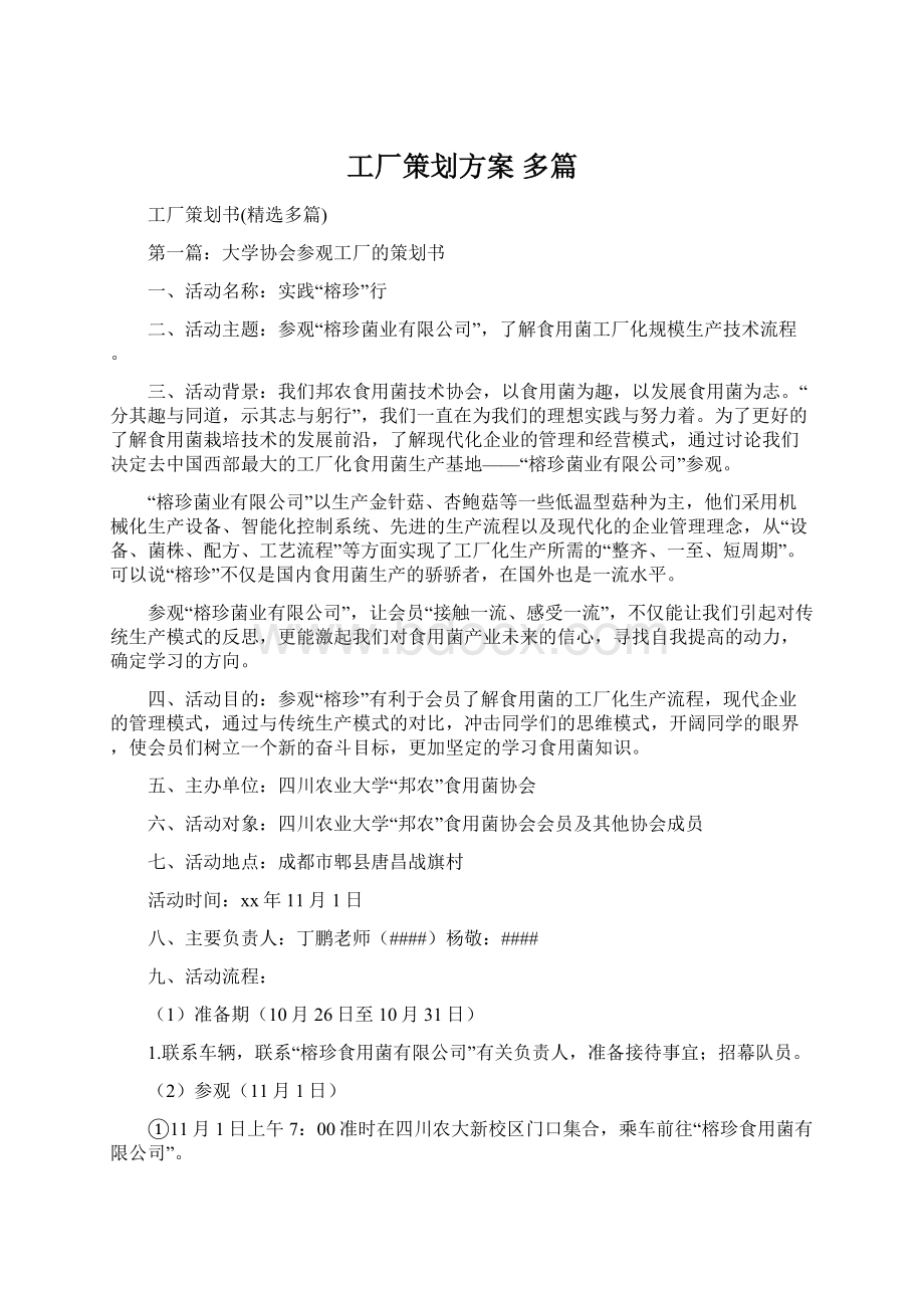 工厂策划方案 多篇.docx