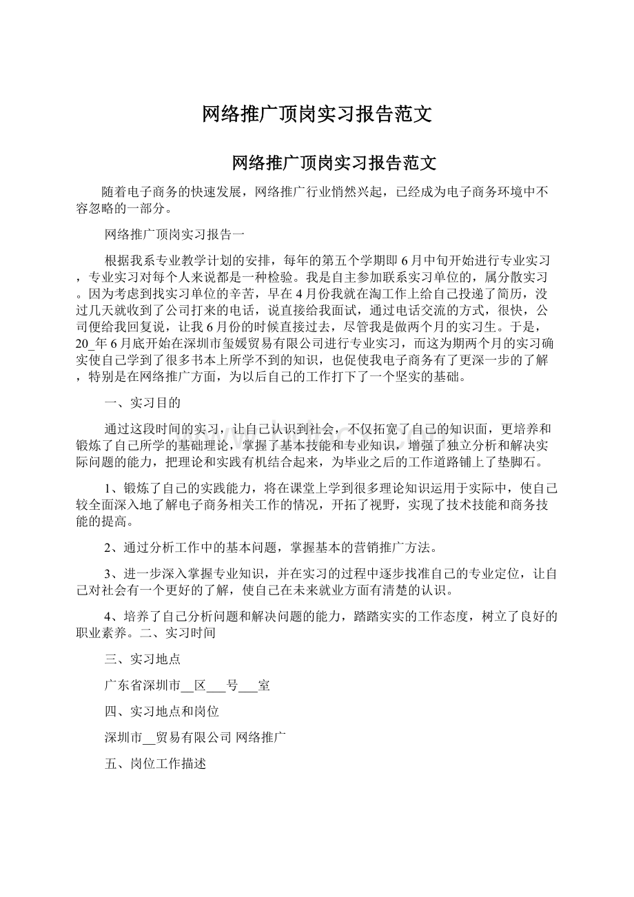 网络推广顶岗实习报告范文Word下载.docx_第1页