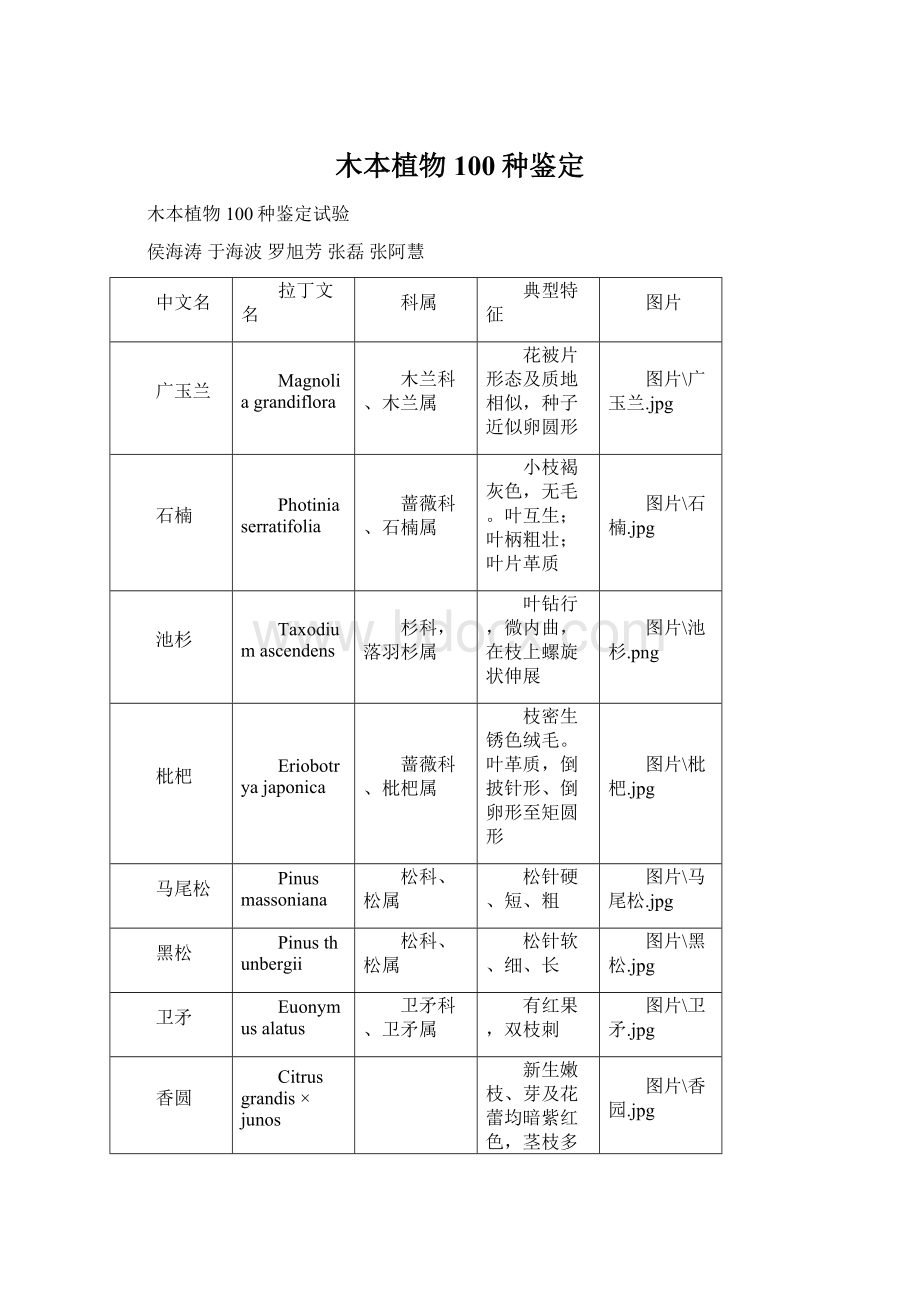 木本植物100种鉴定.docx_第1页