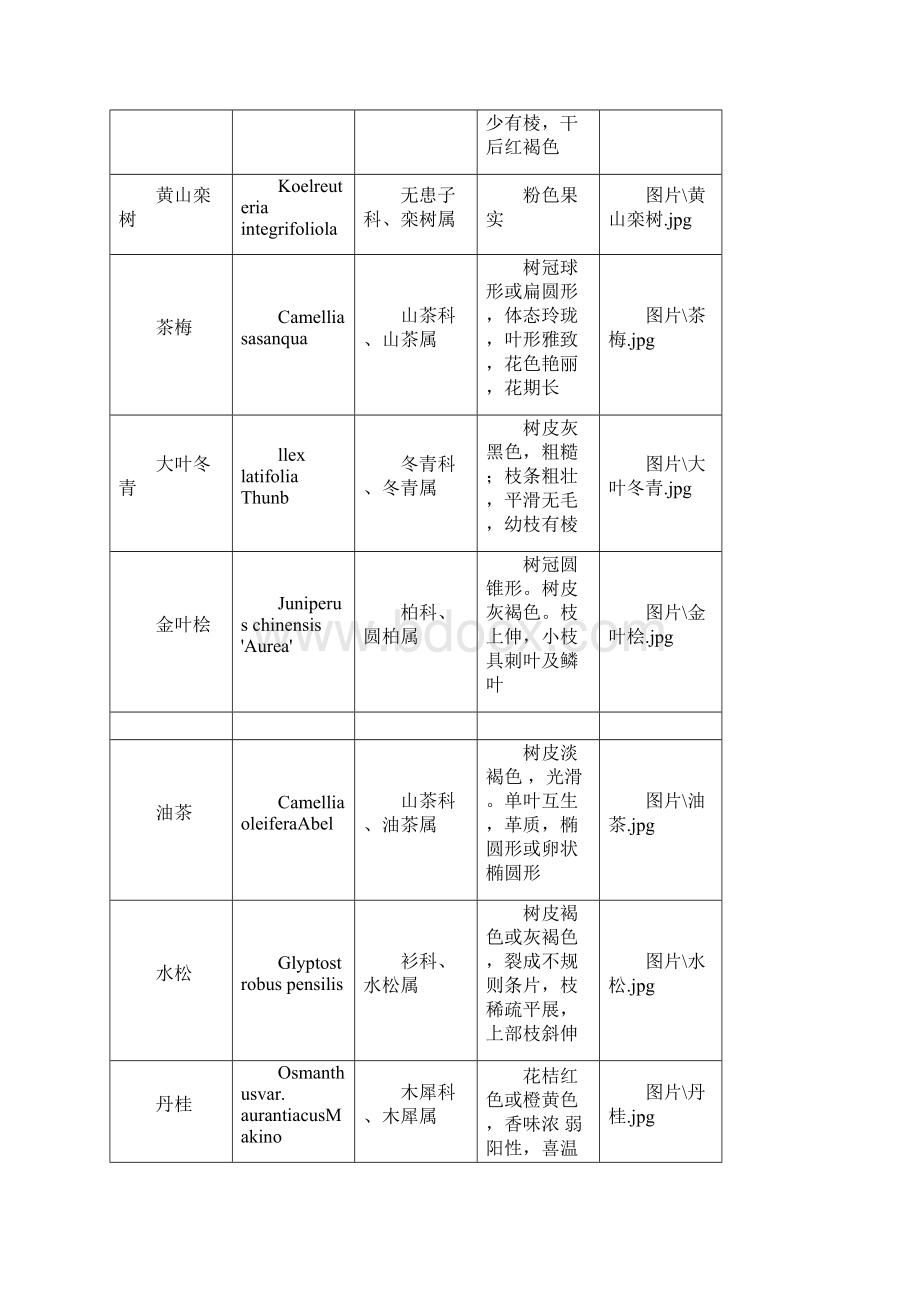 木本植物100种鉴定.docx_第3页