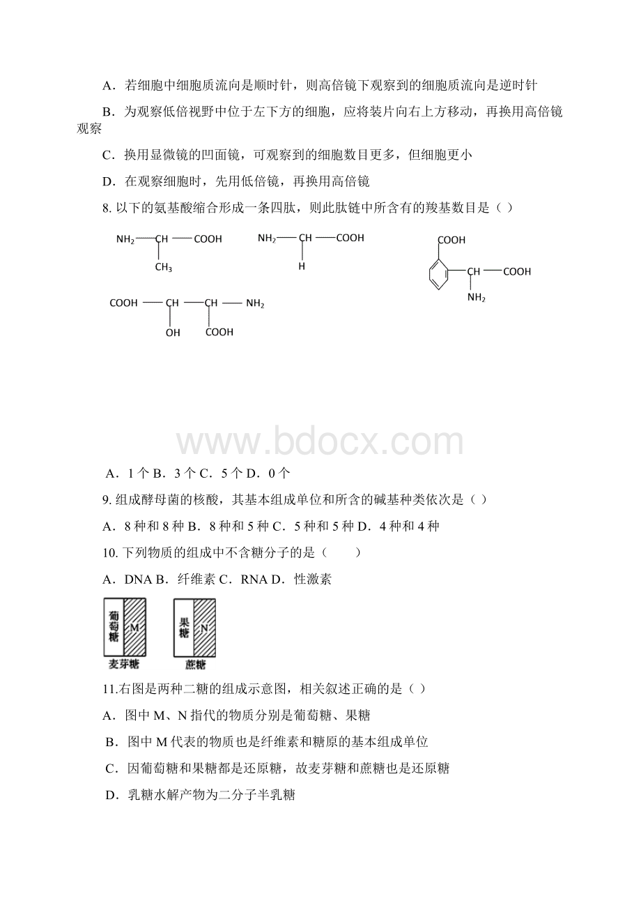 学年高一生物上学期期末考试试题 新人教版Word文件下载.docx_第2页