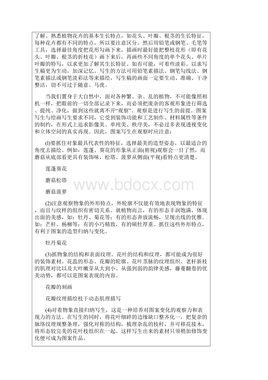 图案基础教案植物图案Word格式.docx_第2页